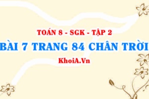 Bài 7 trang 84 Toán 8 Chân trời sáng tạo Tập 2